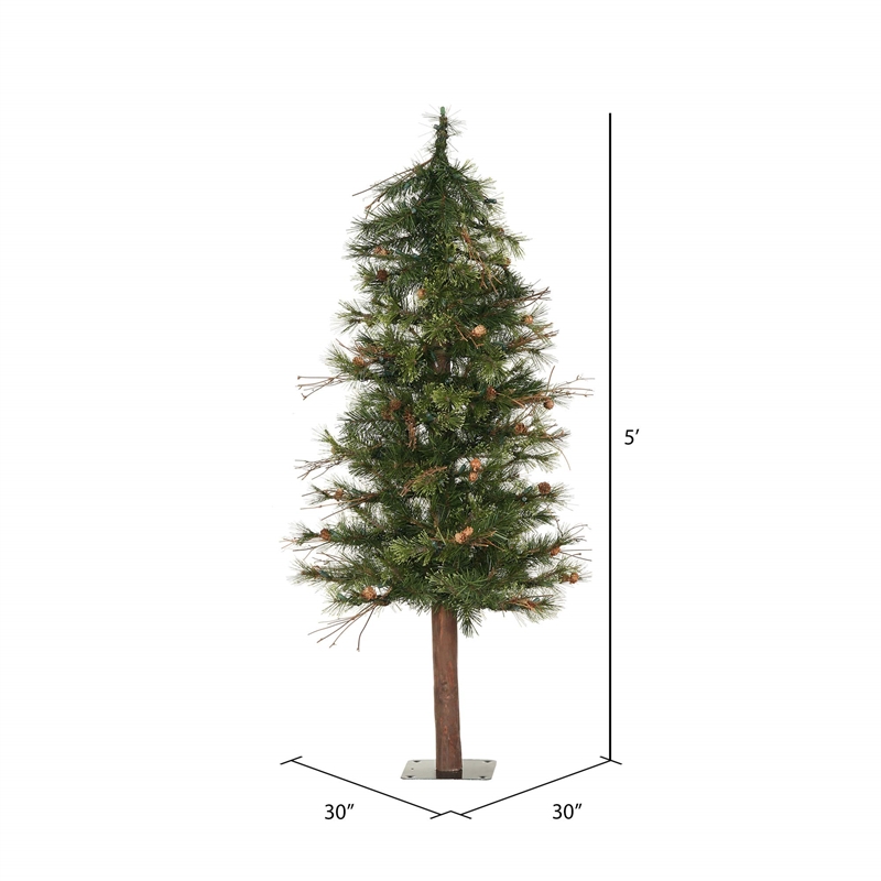 Vickerman 5' x 30