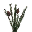Vickerman 48