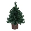 Vickerman 6