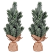 Vickerman 15