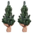Vickerman 15
