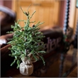 Vickerman 18