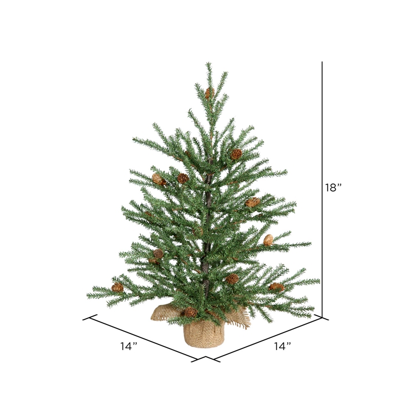 Vickerman 18