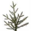 Vickerman 8.5' x 70