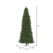 Vickerman 9.5' x 47