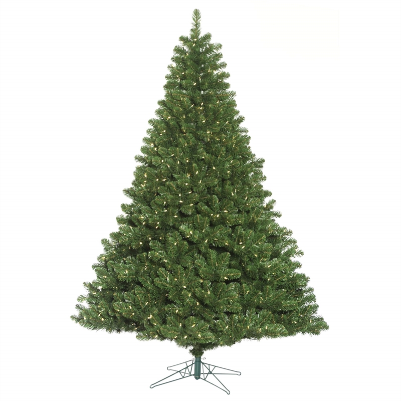 Vickerman 9.5' x 82