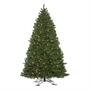 Vickerman 9' x 61&quot Oregon Outdoor WA LED 1150WW