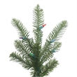 Vickerman 10' x 74