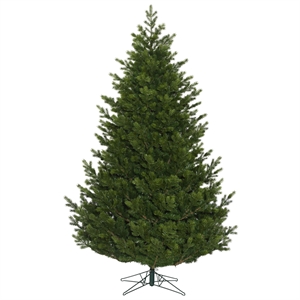 Vickerman 10' x 77&quot Eagle Fraser Full 6671T
