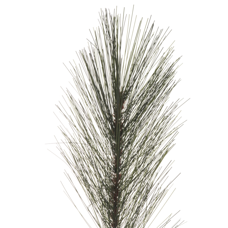 Vickerman 36-42-48