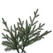 Vickerman Slim Itasca Fraser 8.5'x54