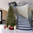 Vickerman Itasca Frasier 15'x110