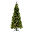 Vickerman Cashmere 9.5'x54