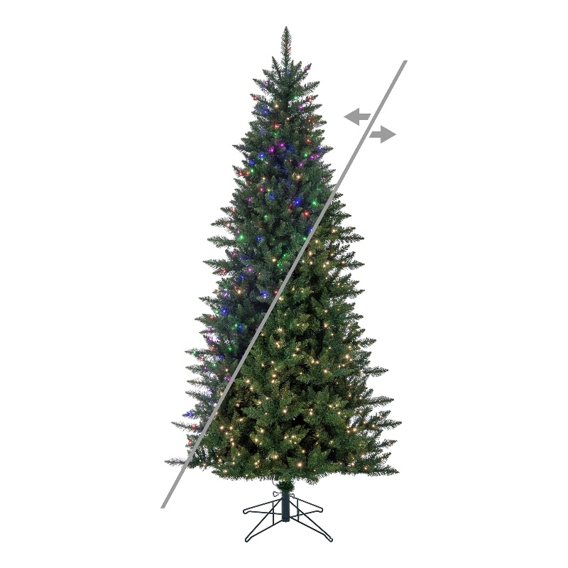 Vickerman 9.5' x 54