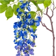 Vickerman 56