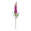 Vickerman 36