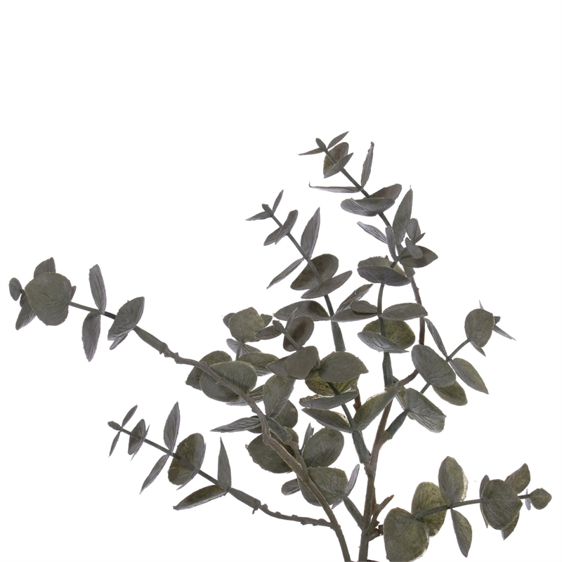 Vickerman 22