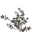Vickerman 22