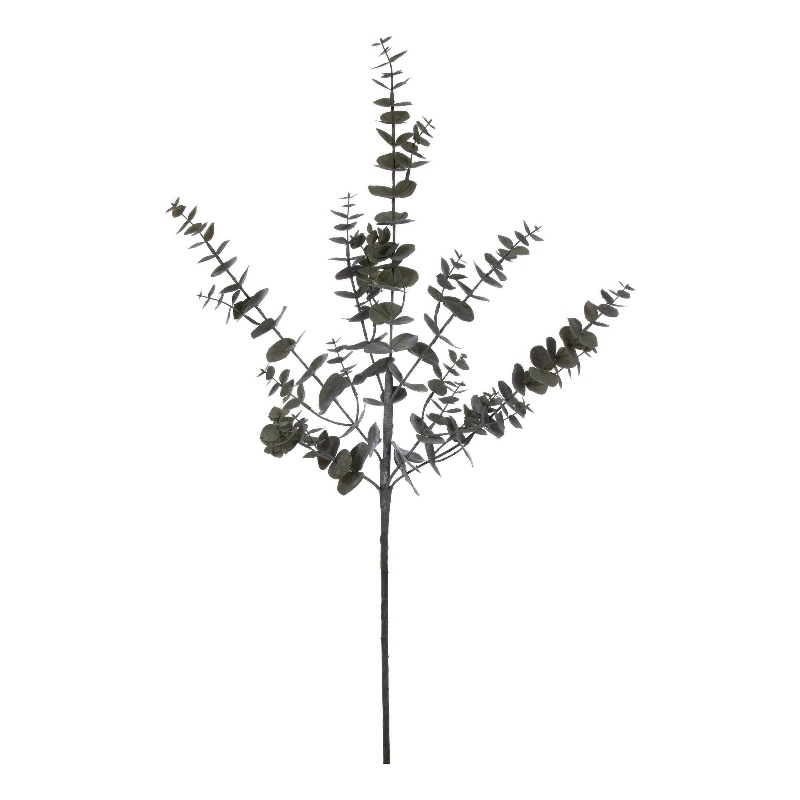 Vickerman 36