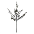 Vickerman 36