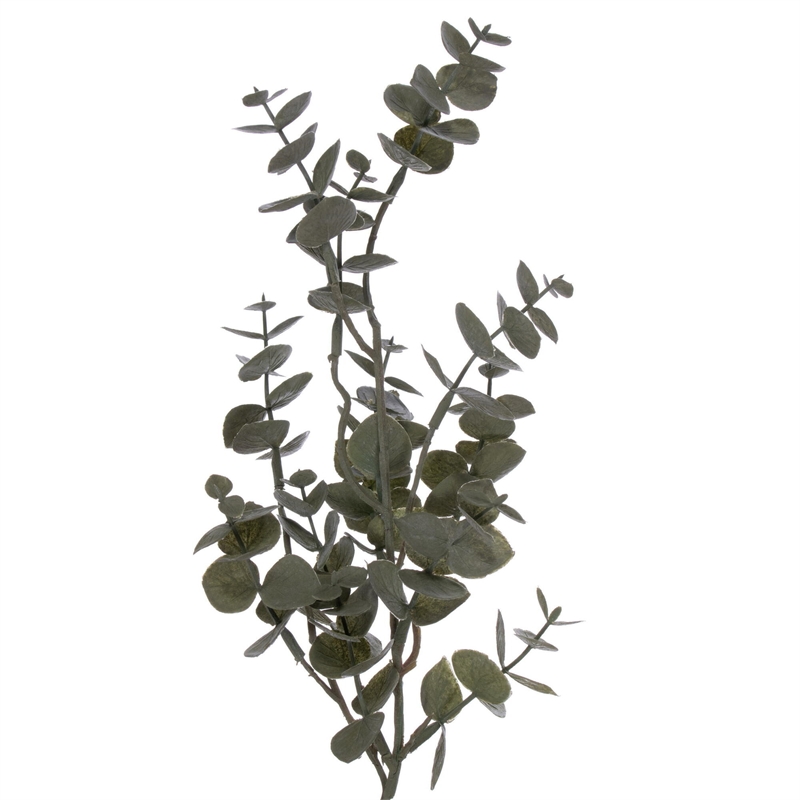 Vickerman 64