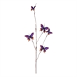 Vickerman 37
