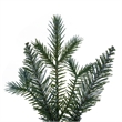 Vickerman Concolor Blue Green 48