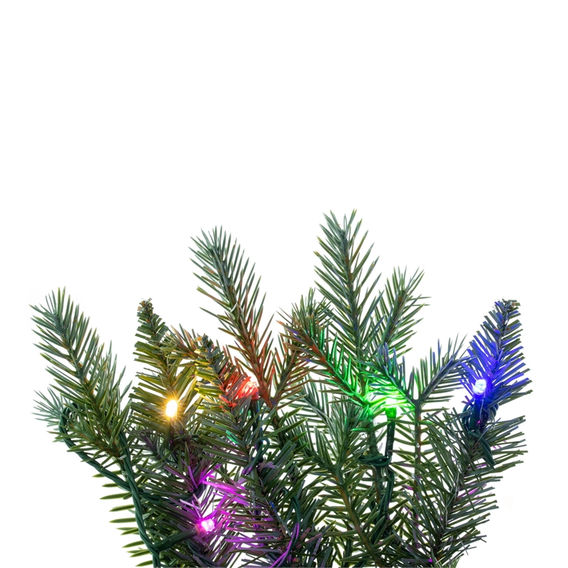 Vickerman Concolor Blue Green 48