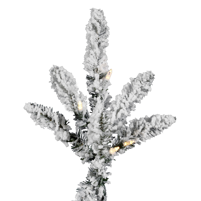 Vickerman 10' X 77