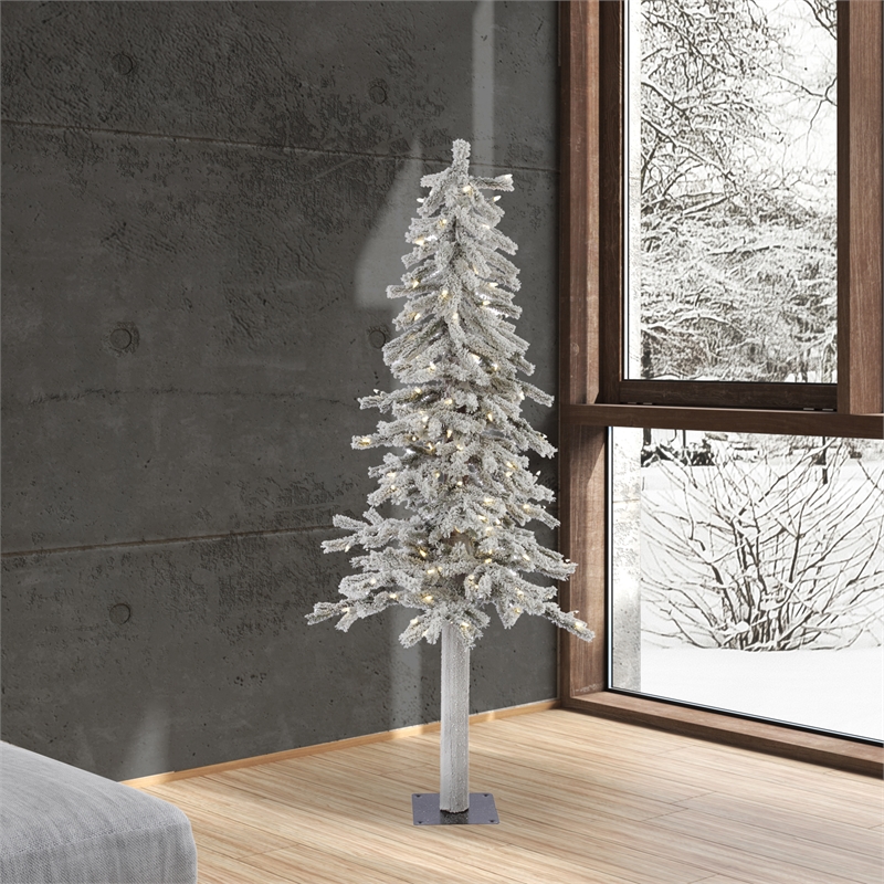 Vickerman 5' x 27