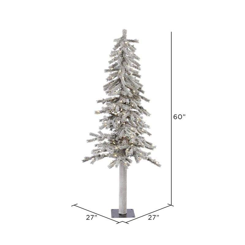 Vickerman 5' x 27