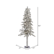 Vickerman 5' x 27