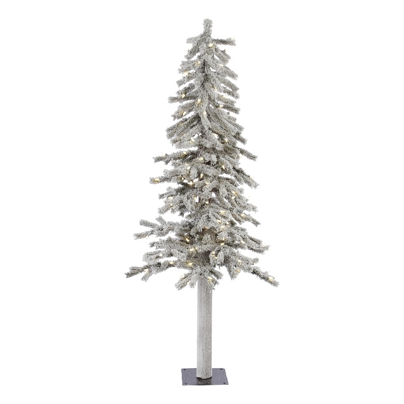 Vickerman 5' x 27