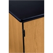 NPS MSC Series Wood Mobile Science Cabinet with HPL Top in Black/Light Oak
