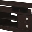 Minimal Style Wooden TV Console With Multi Storage in Cappuccino Brown