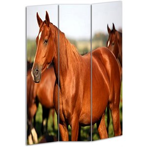 3 panel foldable wooden screen with horse print in brown