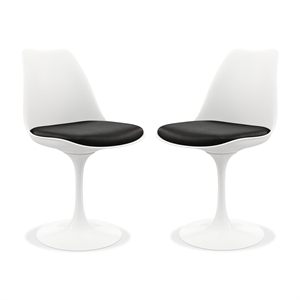 Aron Living Rose 17.5&quot Plastic and Metal Dining Chairs in Black (Set of 2)