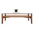 Aron Living Soho Rectangle Solid Wood Coffee Table in Walnut