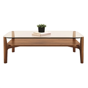 Aron Living Soho Rectangle Solid Wood Coffee Table in Walnut