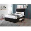 Bella Esprit Modern Solid Wood/Faux Leather Upholstered Full Bed in Black