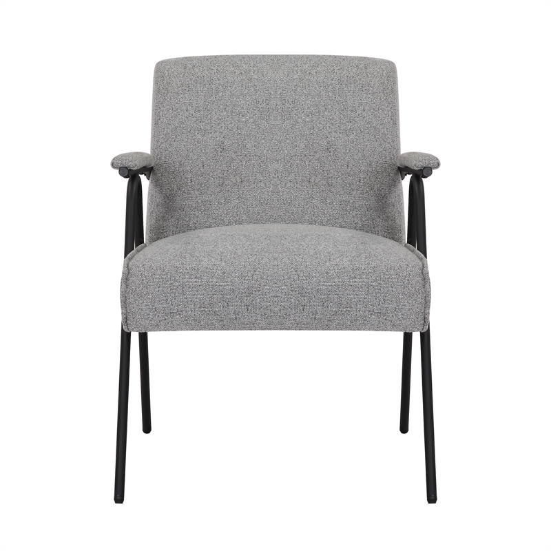 Gray Liden Modern Arm Chair
