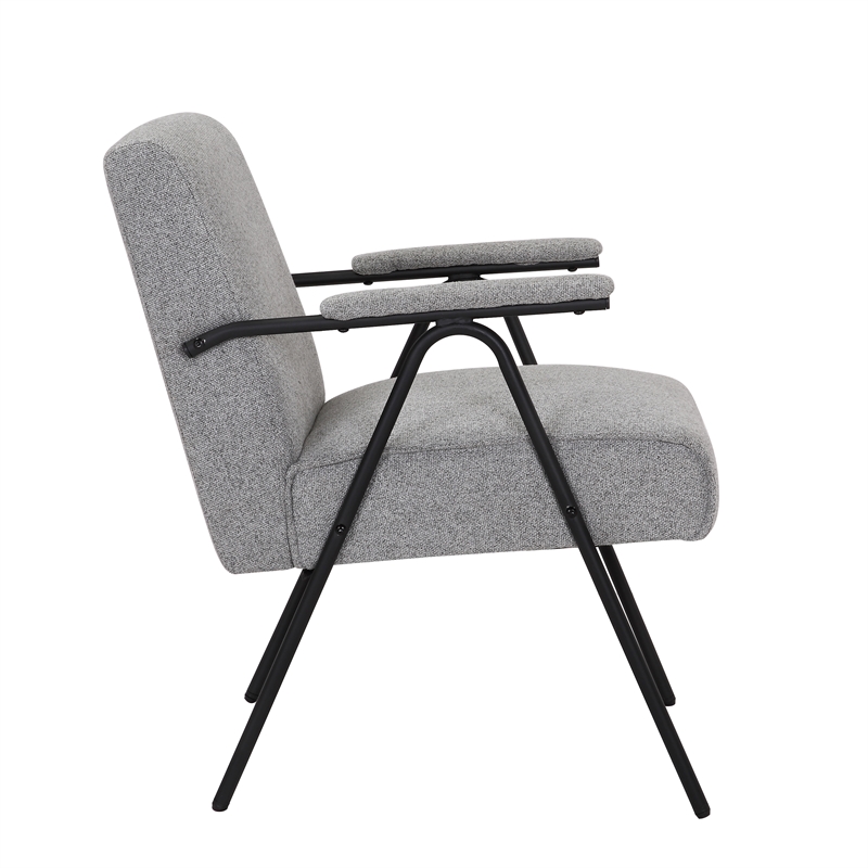 Gray Liden Modern Arm Chair