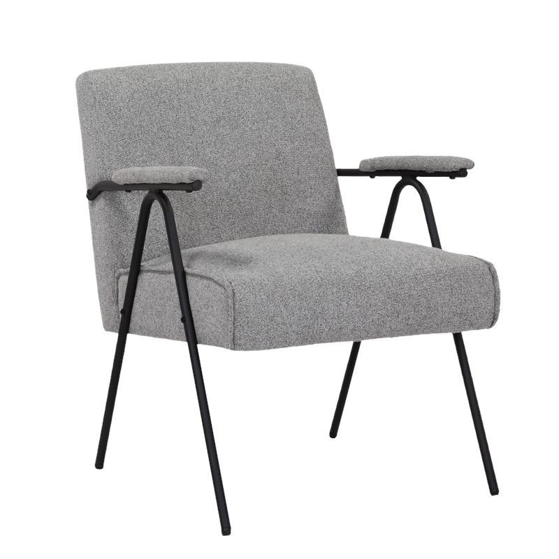 Gray Liden Modern Arm Chair