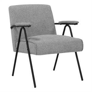 Gray Liden Modern Arm Chair
