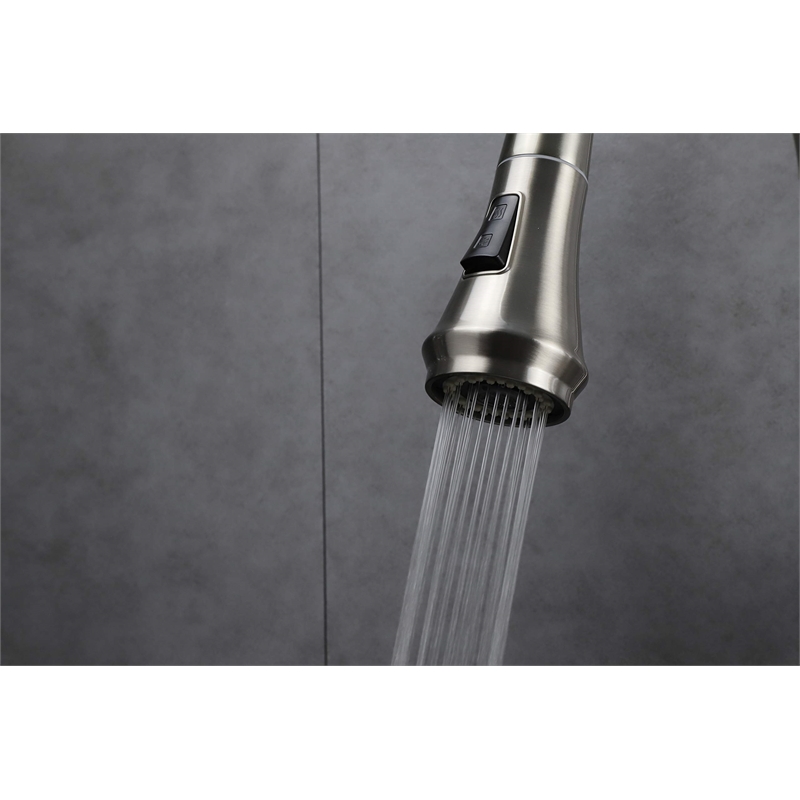 Lexora Home Garbatella Brass Kitchen Faucet with Sprayer in Brushed Nickel