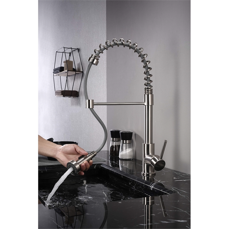 Lexora Home Lanuvio Brass Kitchen Faucet with Pull Out Sprayer in Chrome