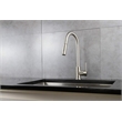 Lexora Home Olivi Brass Kitchen Faucet with Pull Out Sprayer in Brushed Nickel