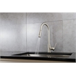 Lexora Home Olivi Brass Kitchen Faucet with Pull Out Sprayer in Brushed Nickel
