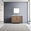 Lexora Home Ziva 48