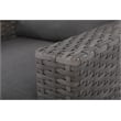 Bali Silver/Gray Two-Tone Wicker Club Chair in Charcoal Gray Cushion
